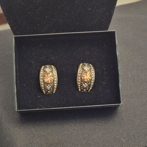 Elegant Gold and Orange Earrings